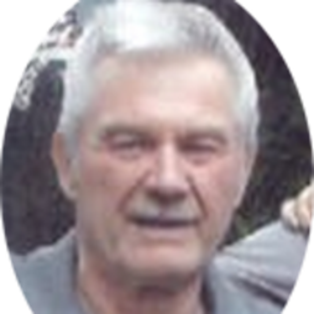 Charles A Wolfe