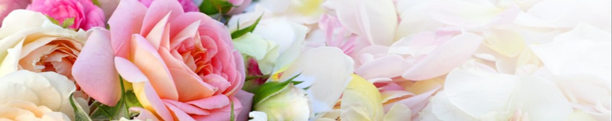 Cover photo for Beadie Thompson Ridley's Obituary