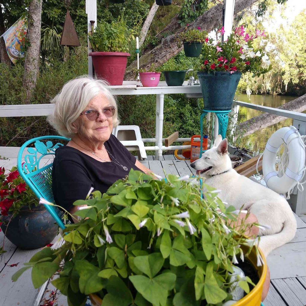 Linda Alice Varone - McNally Profile Photo