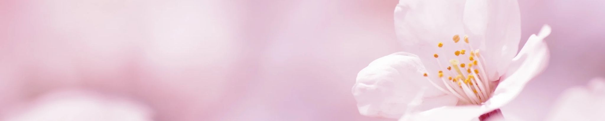 Cover photo for Nova James Eggers's Obituary