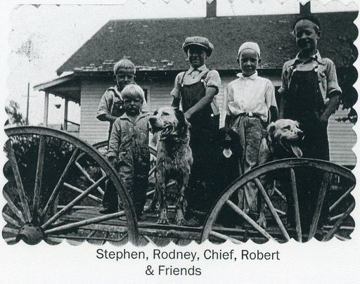 Stephen W. Clark photo gallery thumbnail 36 of 127