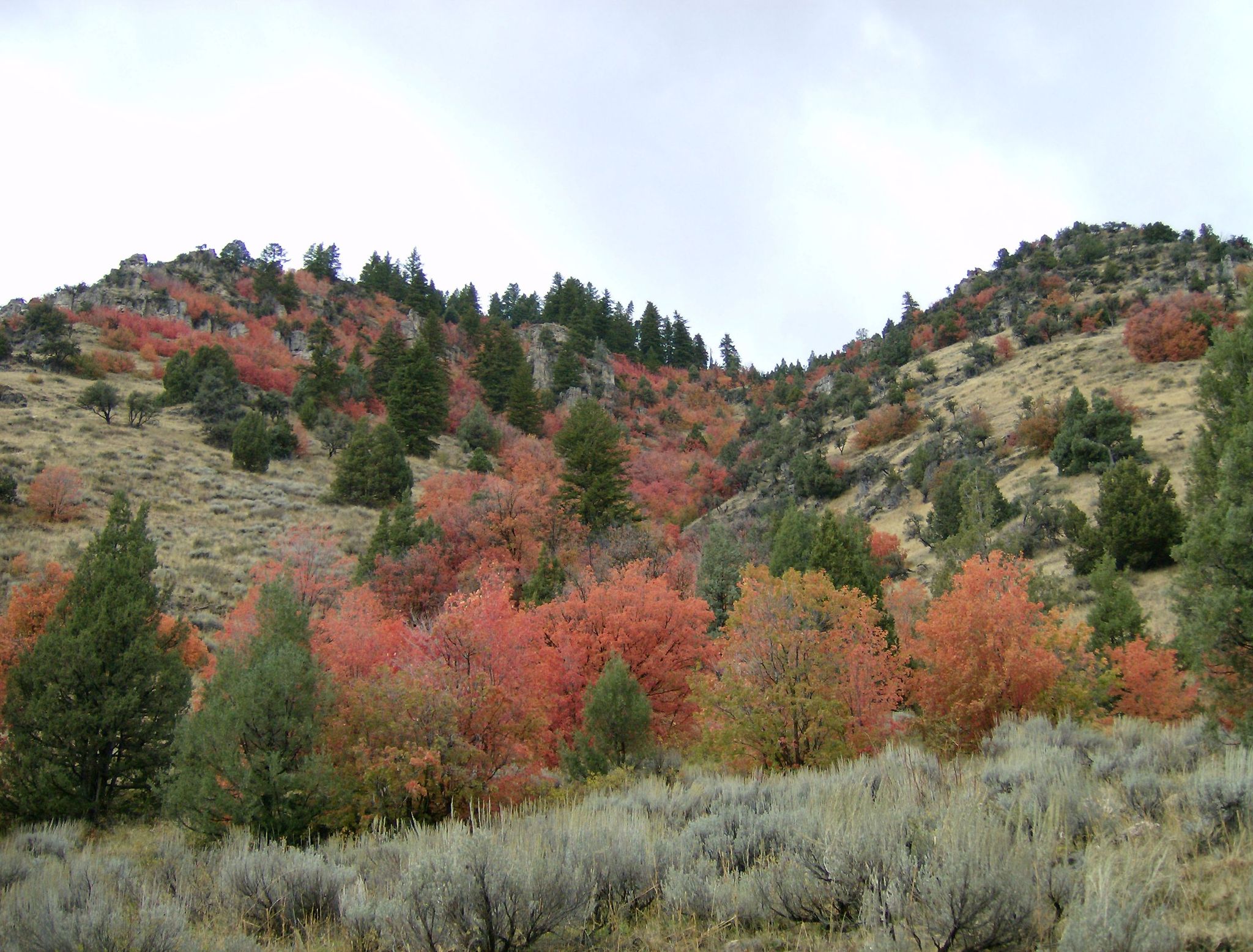 Cover photo for Mark Dennis Leishman's Obituary