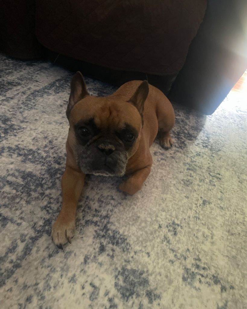 Booker Profile Photo