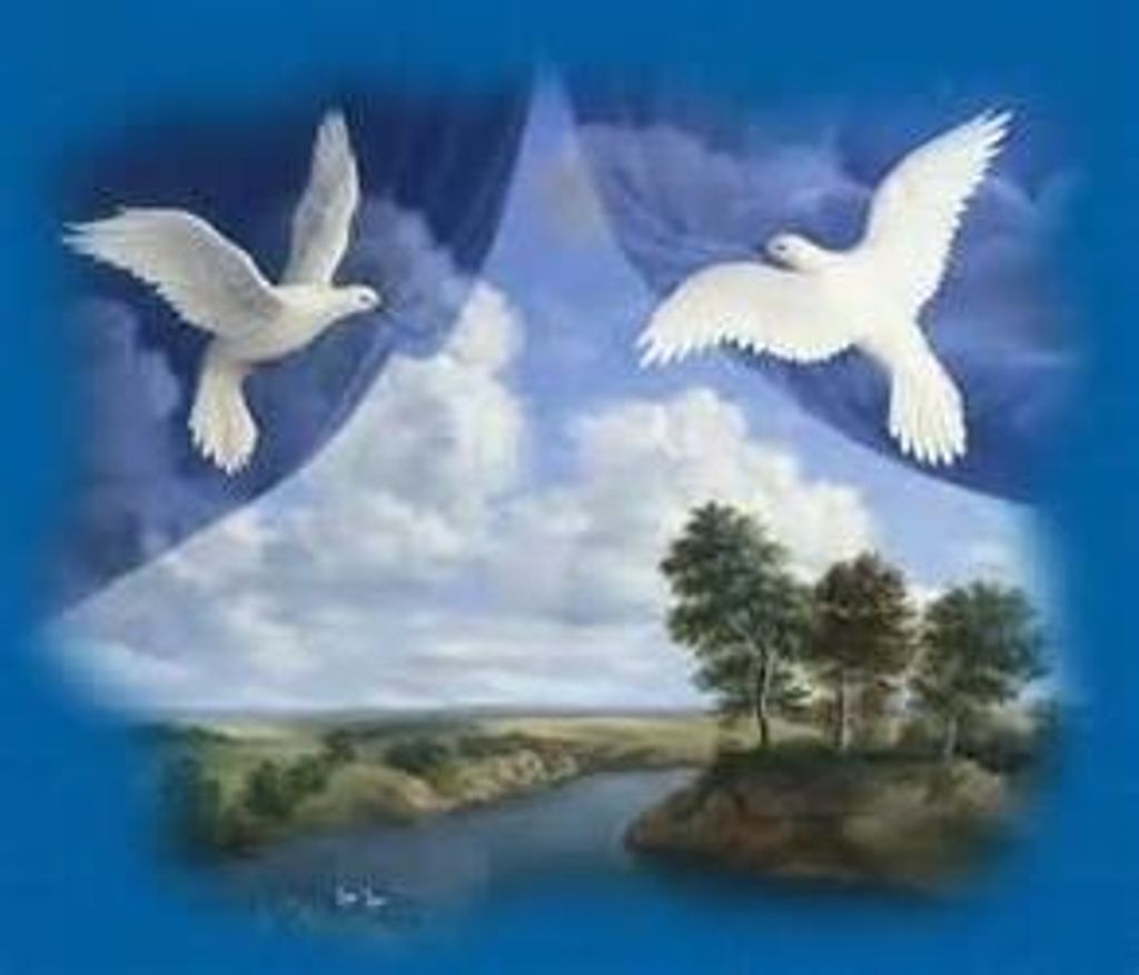 Christine Holtsclaw Profile Photo