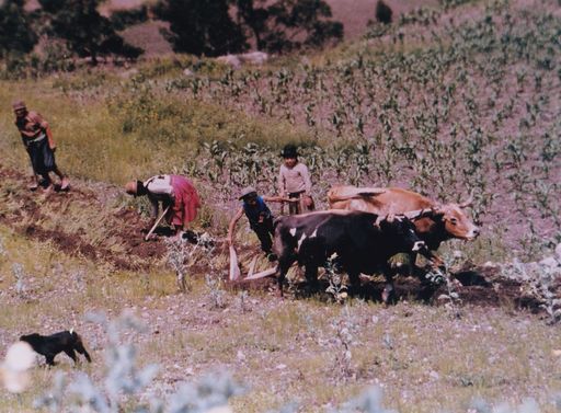 Margery A Schenk photo gallery thumbnail 23 of 125