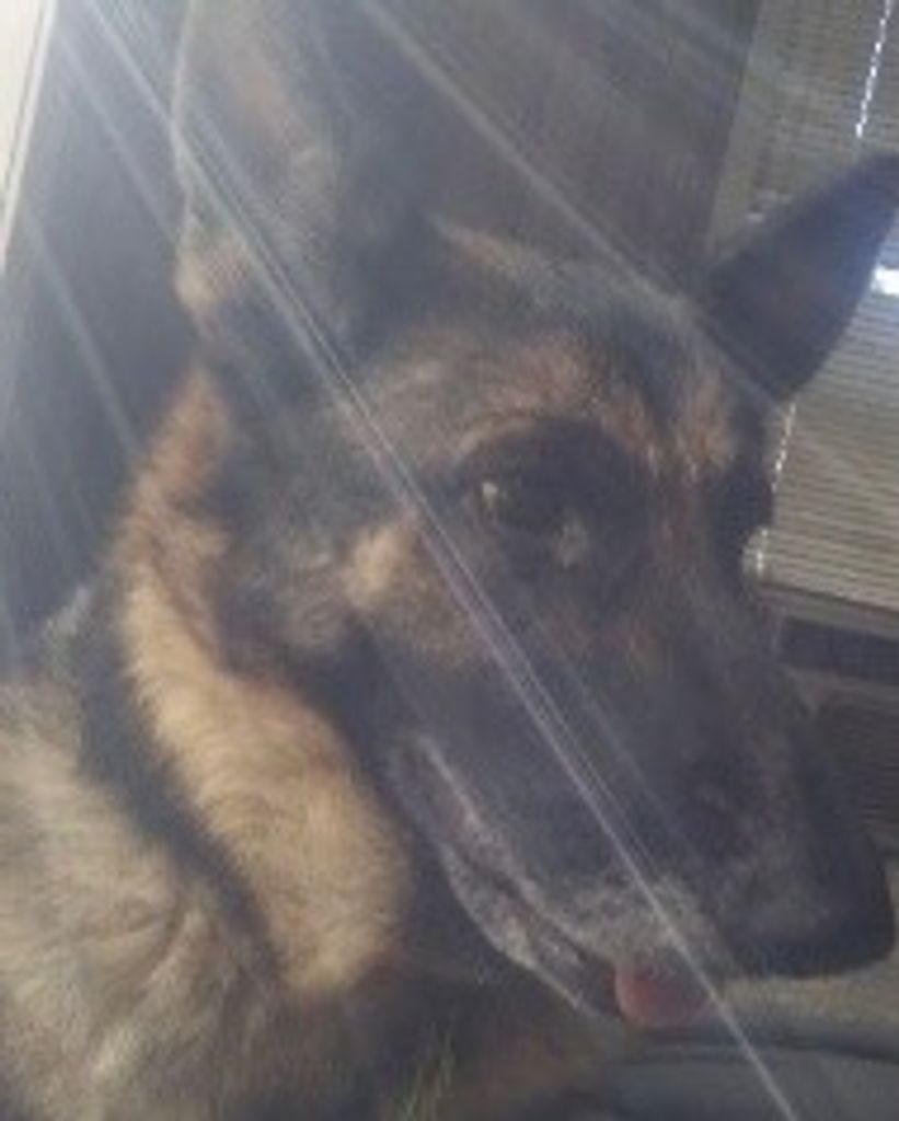 Bishop Profile Photo