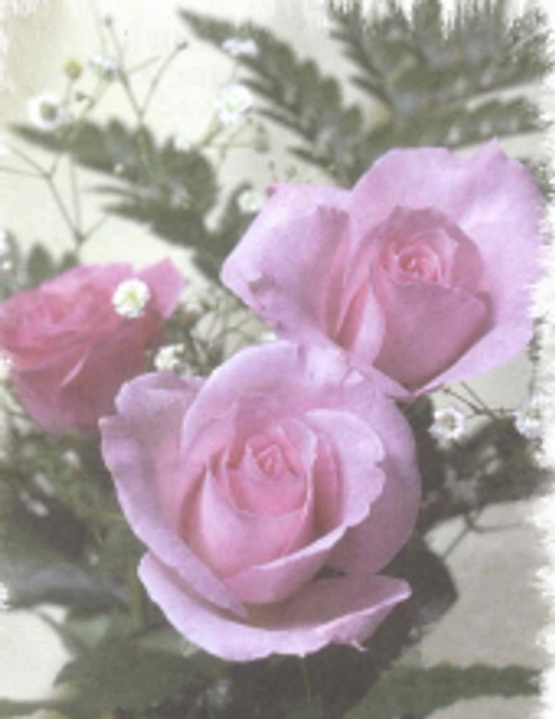Mary Viola Sutton