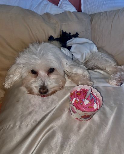 Hazel ♥'s obituary image