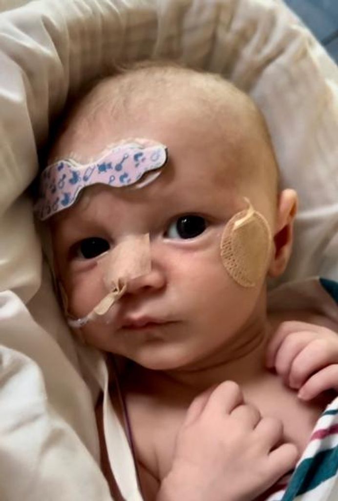 Peter Jacob Vasconcellos Profile Photo