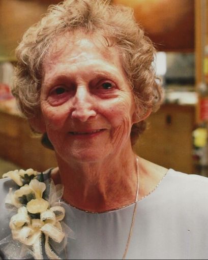 Virginia Lee (Lewis) Wilson's obituary image