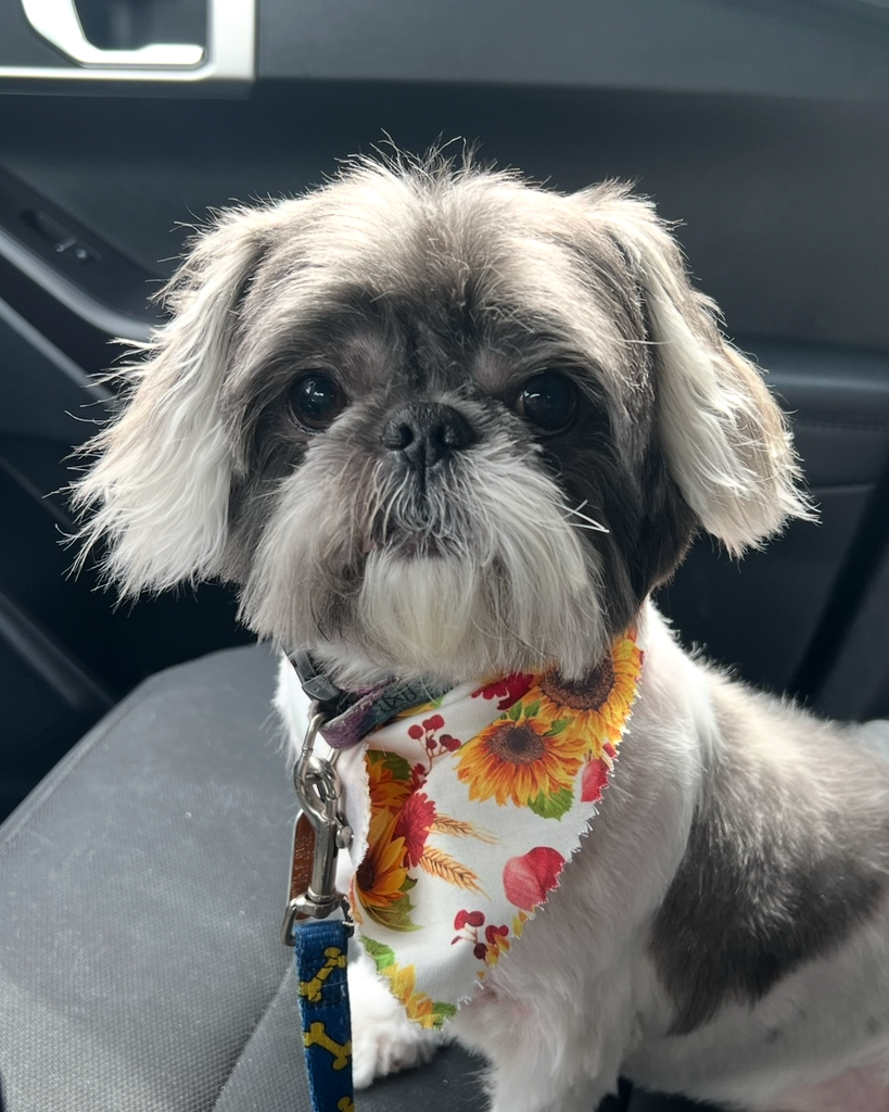 Rylee Nash Profile Photo