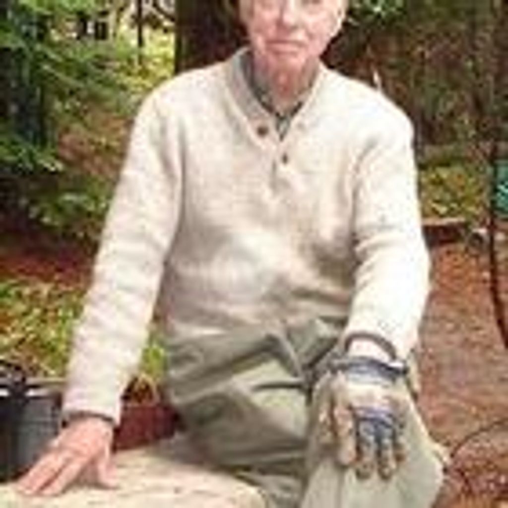 Dr. Albert Nisswandt