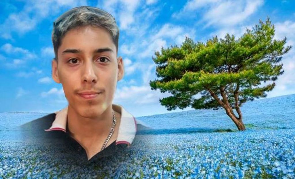 Arath Nicolas Gutierrez Profile Photo
