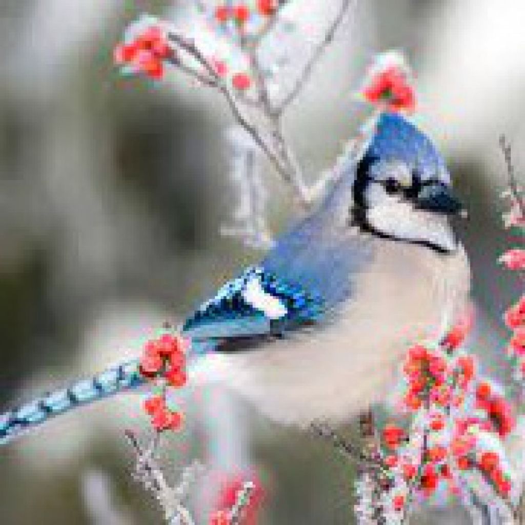 Brian Patrick Bottner Profile Photo