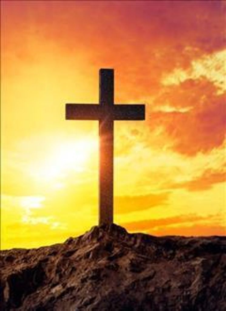 William Hoaglin Profile Photo