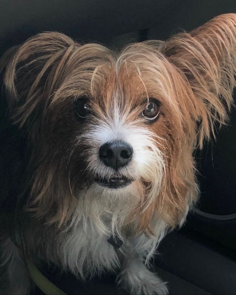 Lil' Eddie ♥ Profile Photo