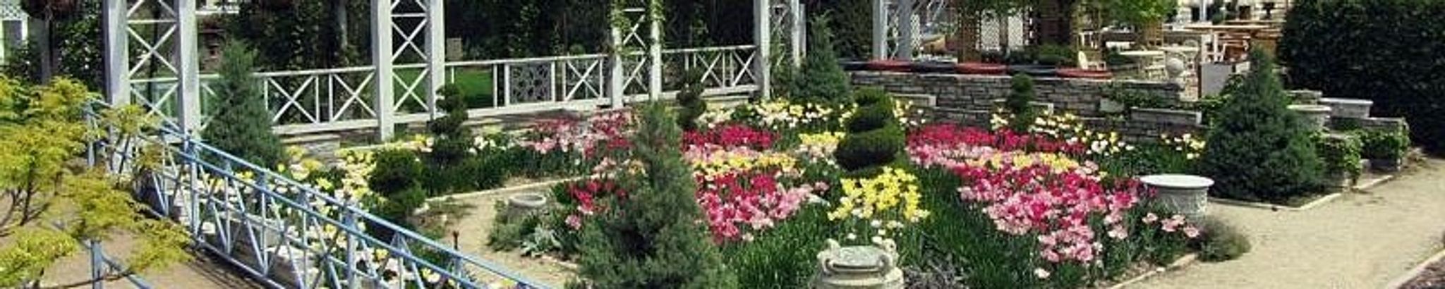 Cover for Sally Robbins Bilder's Obituary