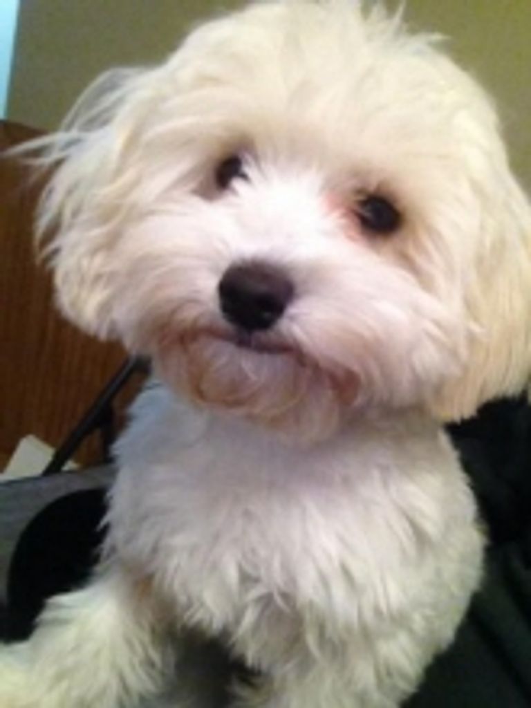 Tucker Boer Profile Photo