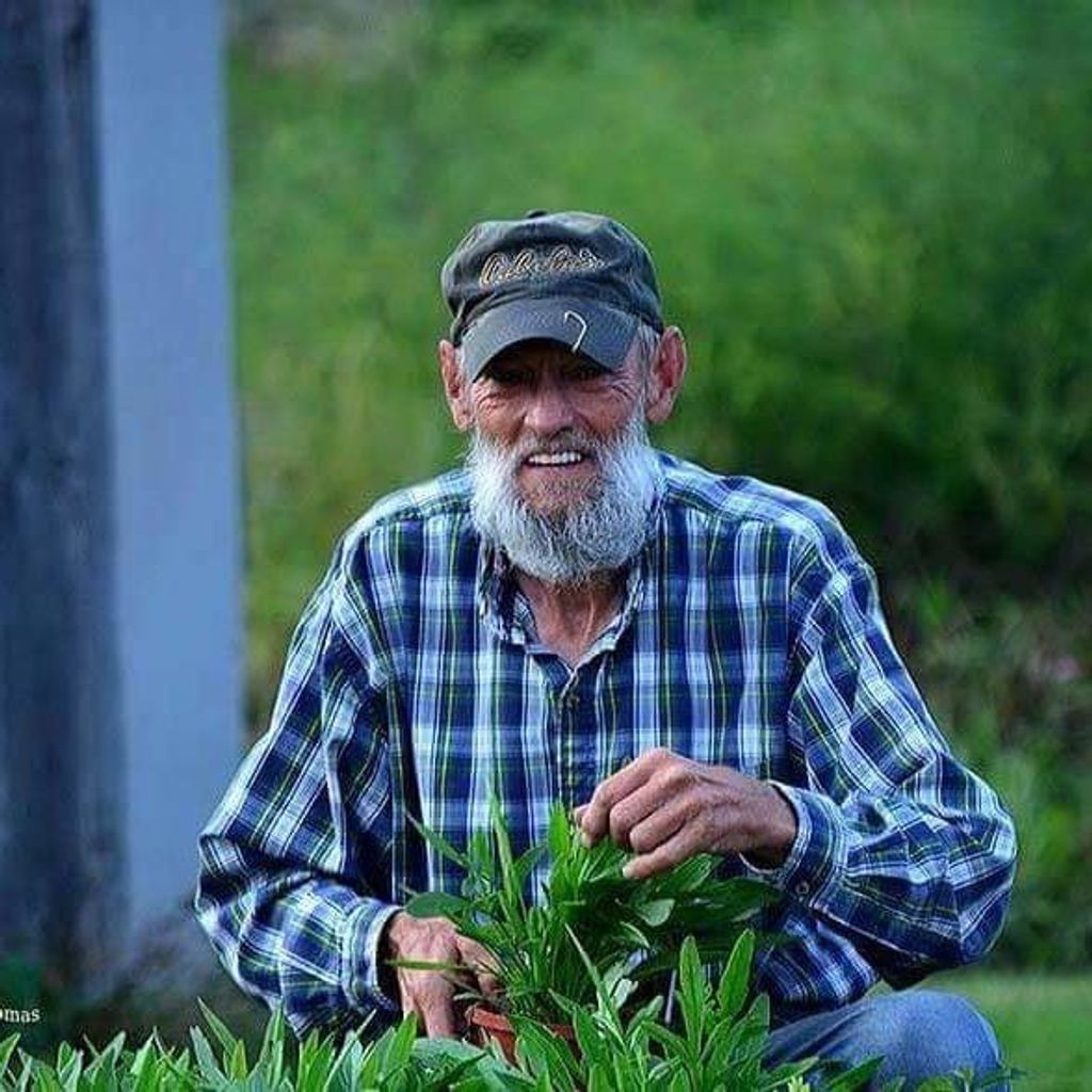 Wayne  J. Doctore Profile Photo