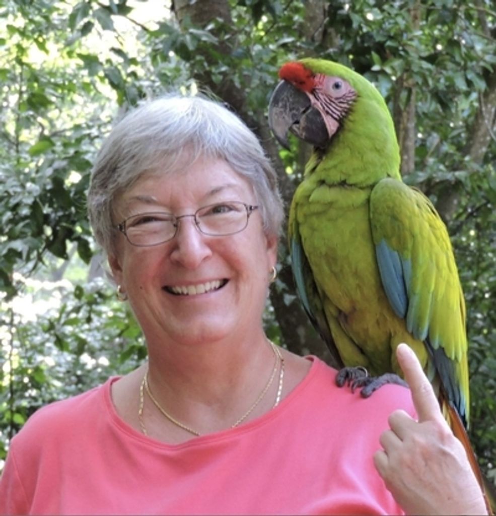 Louise Ann Johnson Profile Photo