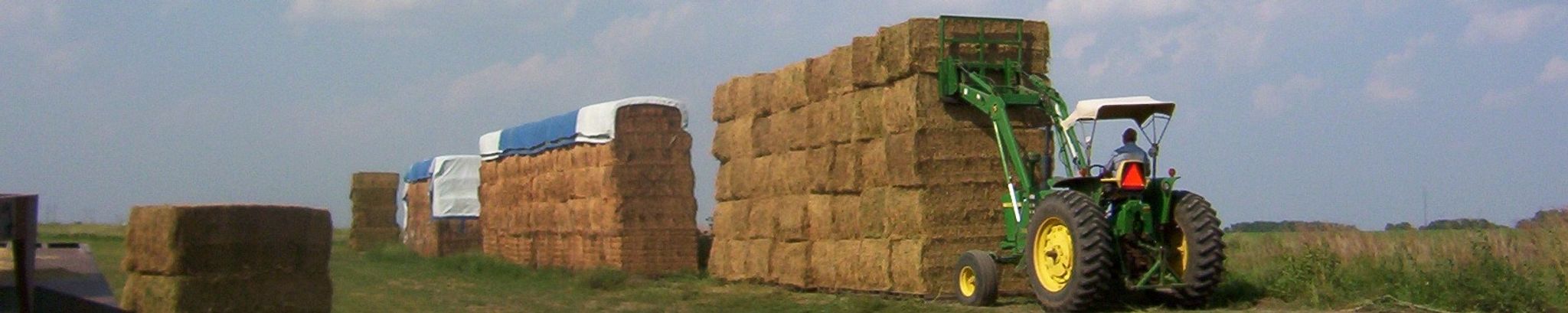 Cover for Darrell A. Carlson's Obituary