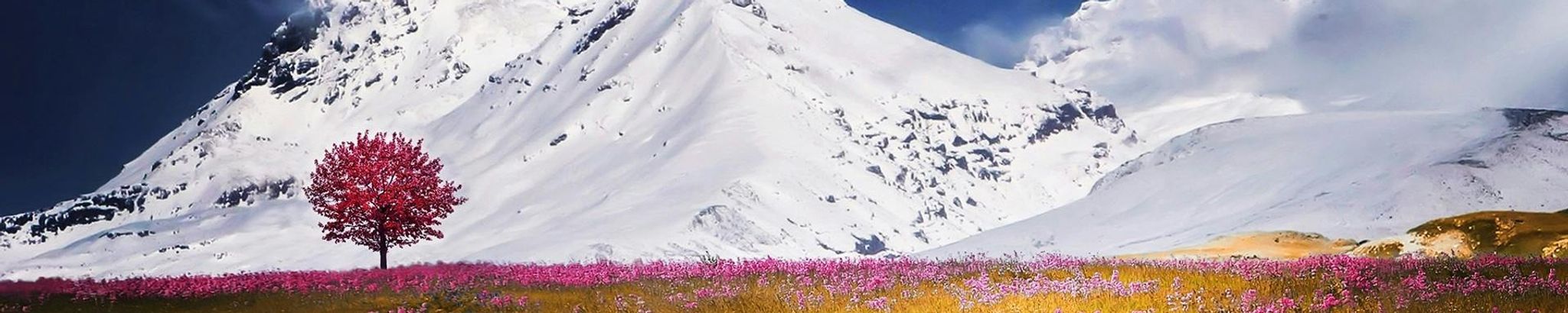 Cover for Lora Lee Berry's Obituary