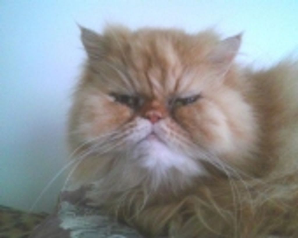 Amber Rosema Profile Photo