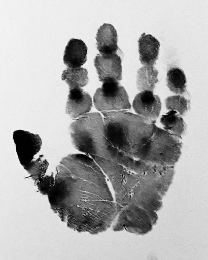 Avery Vanessa Vargas Pollock's obituary image