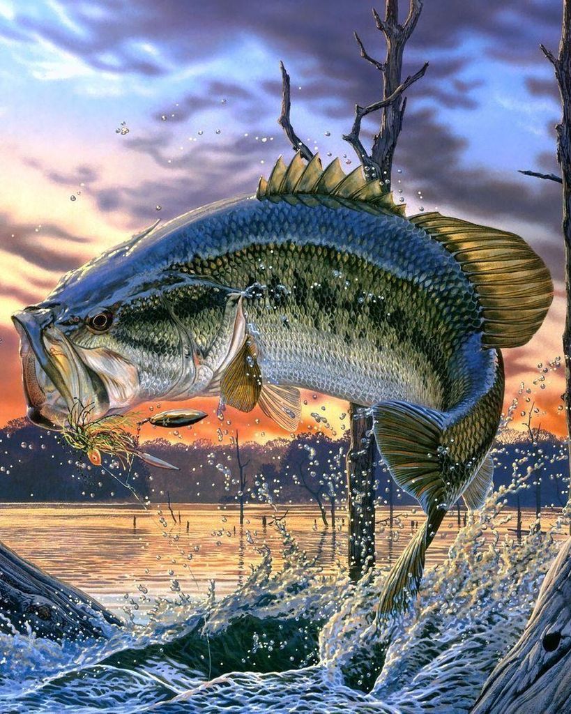 Donald Franklin "Frank" Hawkins Profile Photo