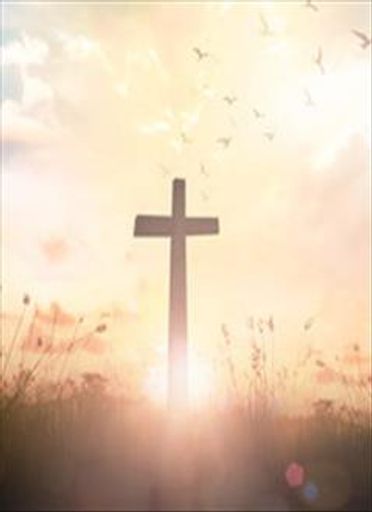 Gayle Haweda Jones's obituary image