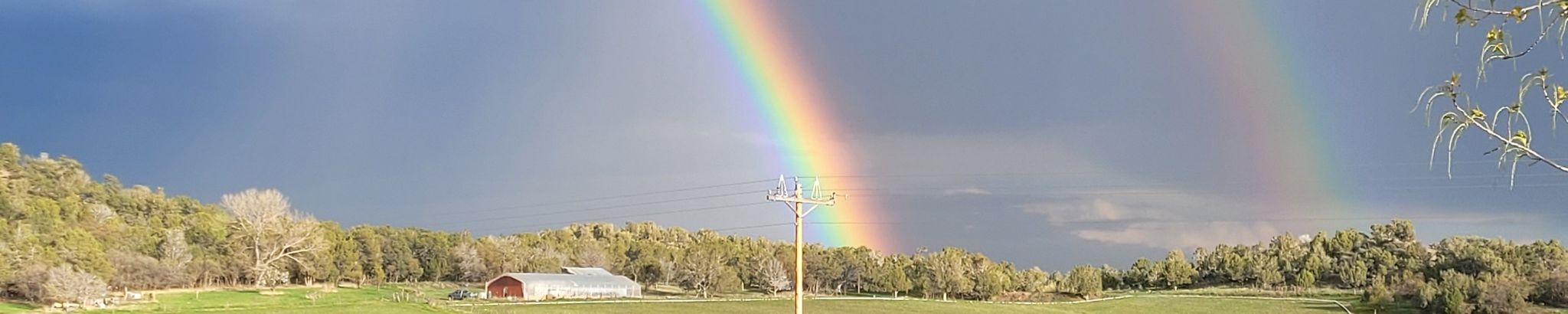 Cover for Betty Lou Leintz (Rezac)'s Obituary