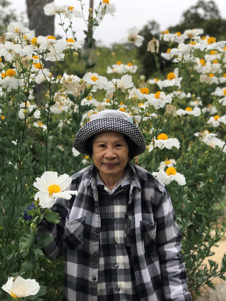 Virginia "Jean Or Virg" Camero