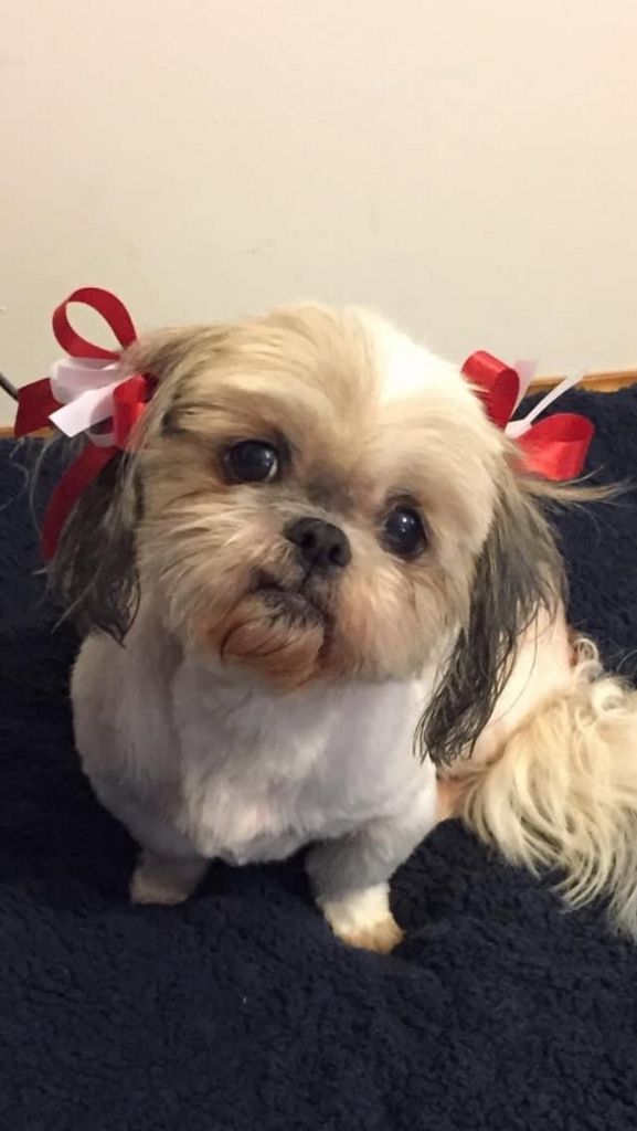 Daisie Johnson Profile Photo
