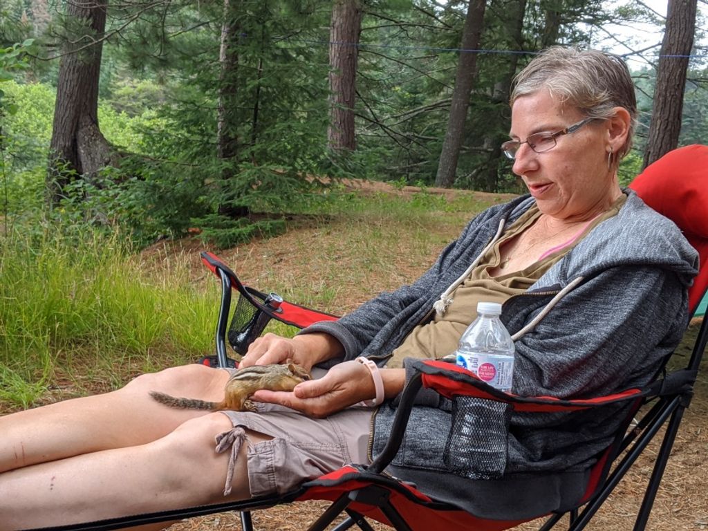 Christine Ann (Walsh)  Smith
