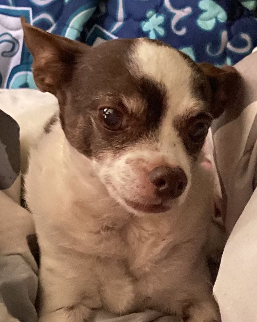 Lola Brown Profile Photo