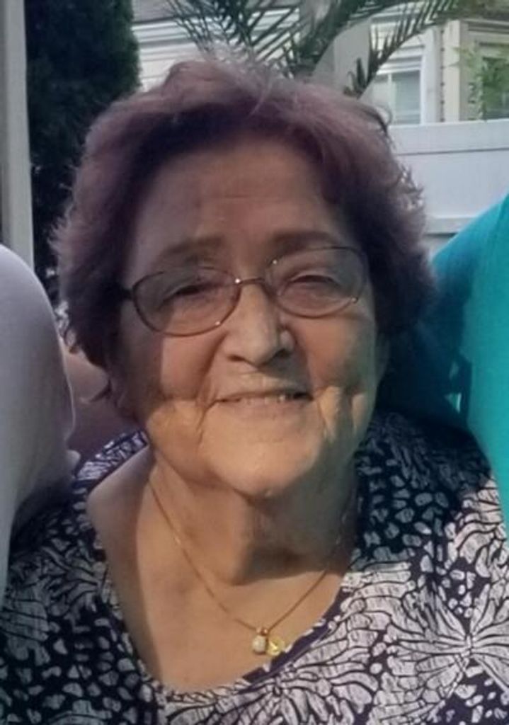 Dorothy Steidl Profile Photo