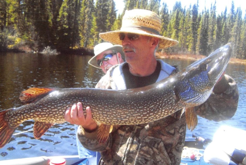 Warren Bransford Arms Profile Photo