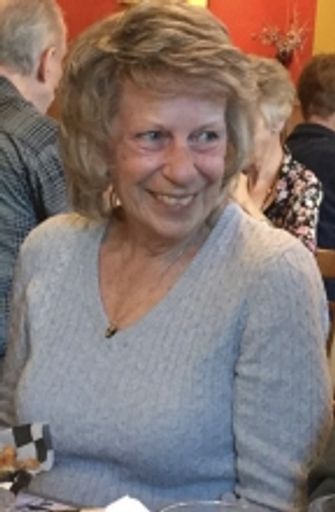Judy Lynn Stone Profile Photo