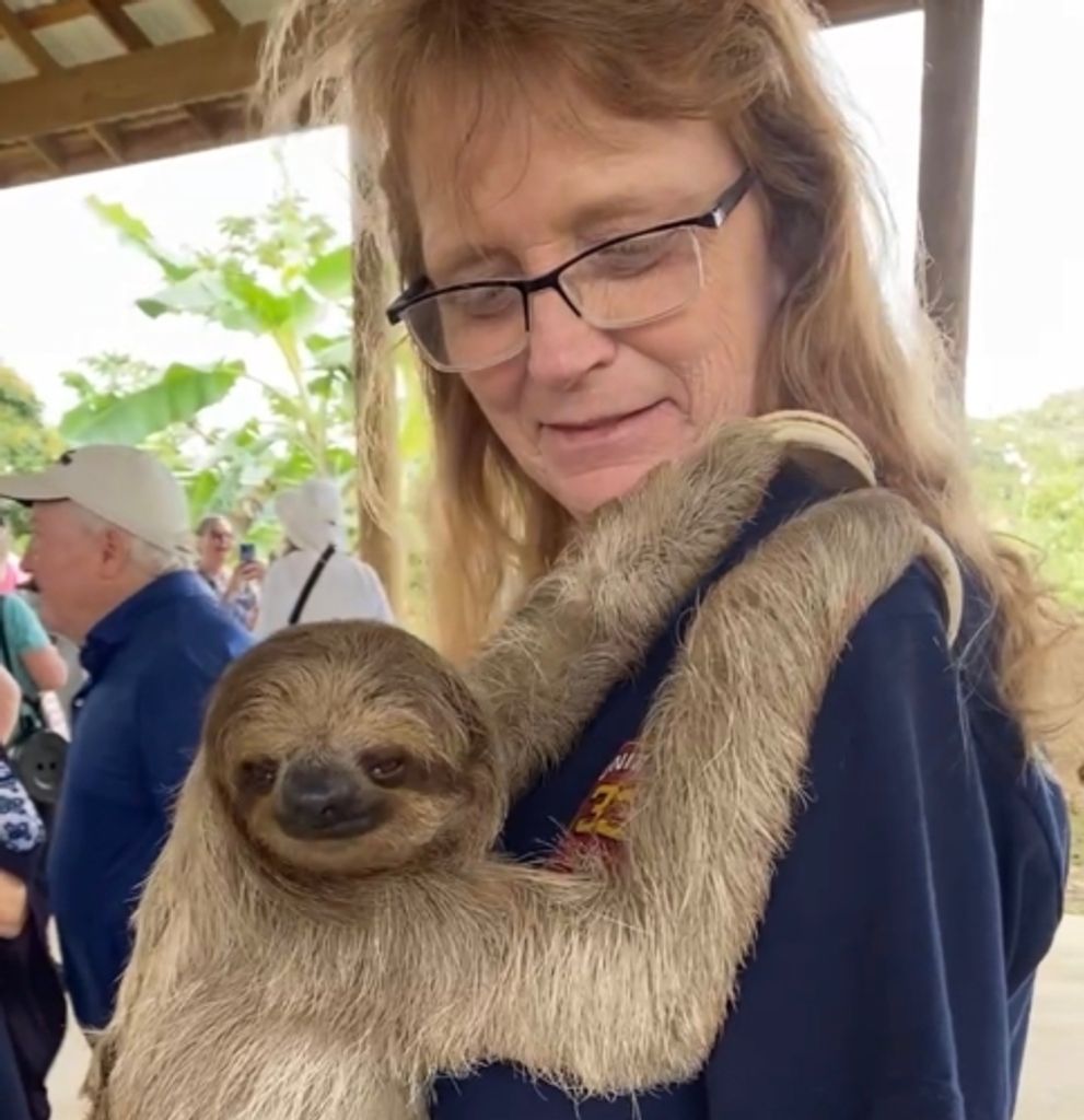 Susie Ann Dutterer Profile Photo