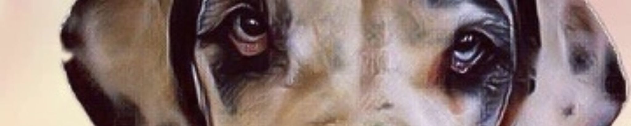 Cover for Nevaeh the Great Dane's Obituary