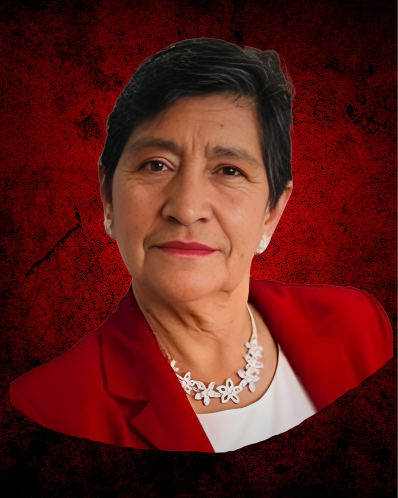 Juana Ibarra Rocha Profile Photo
