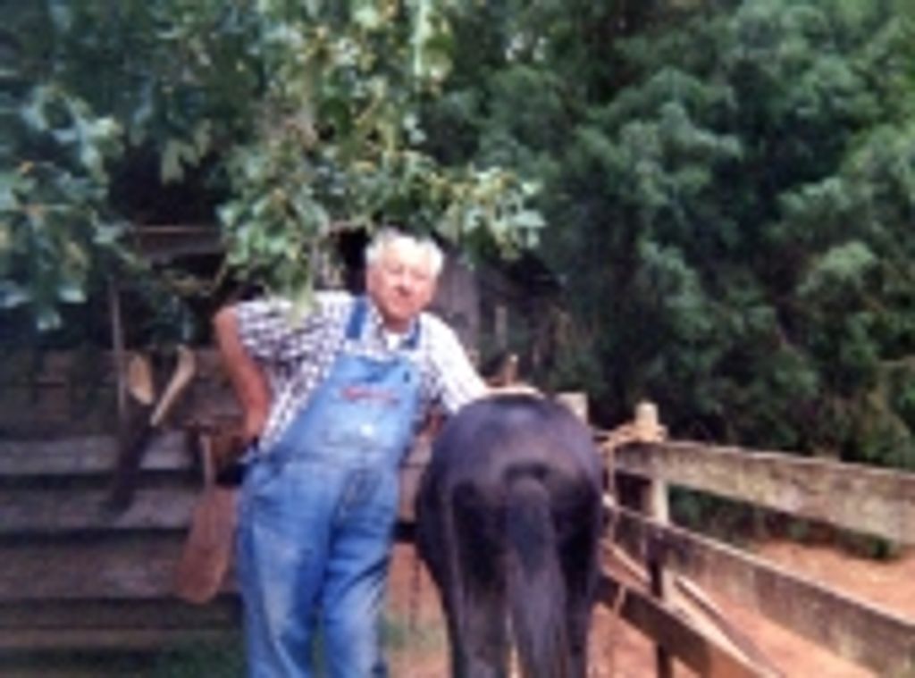 Ted Dye