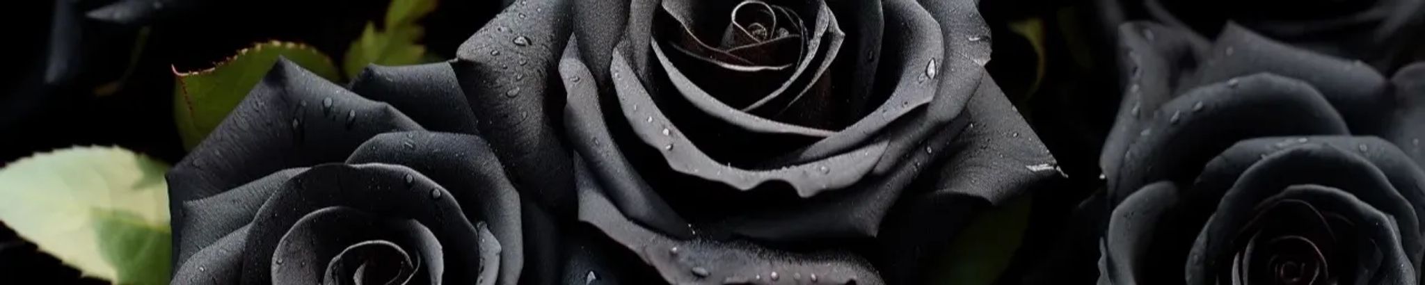 Cover for Monica Elizabeth Moran's Obituary