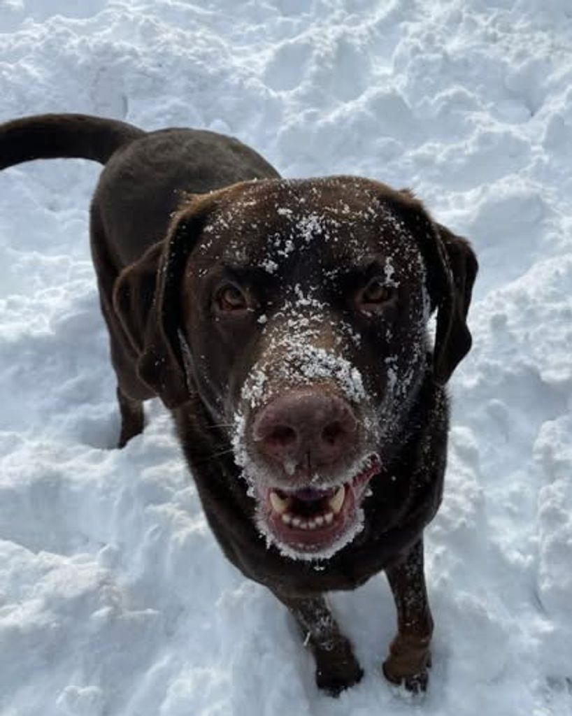 Axel Landon Profile Photo