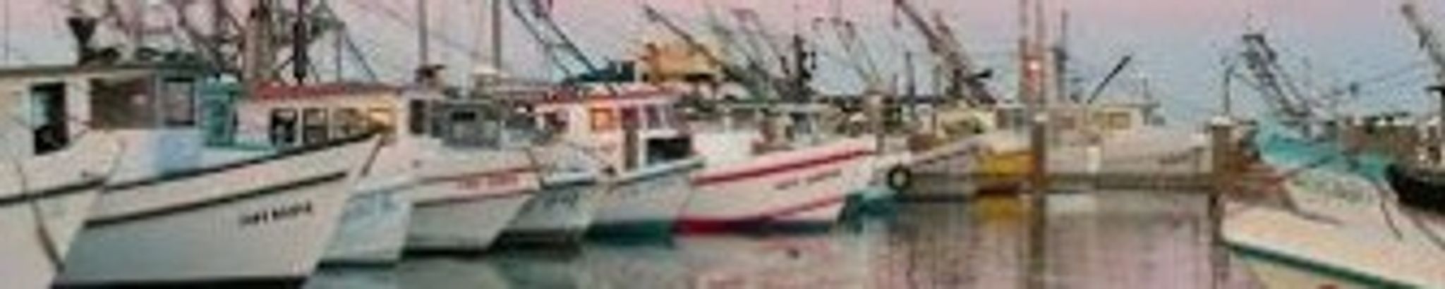 Cover for Em Be Nguyen's Obituary