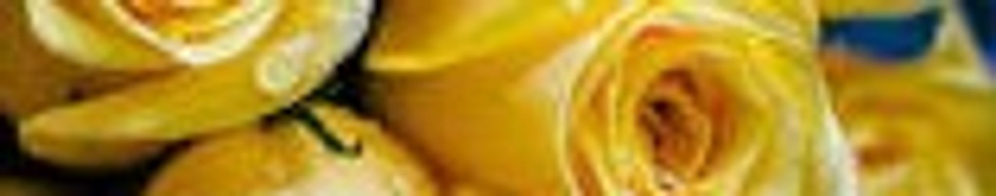 Cover photo for Blanca I. Mejia's Obituary