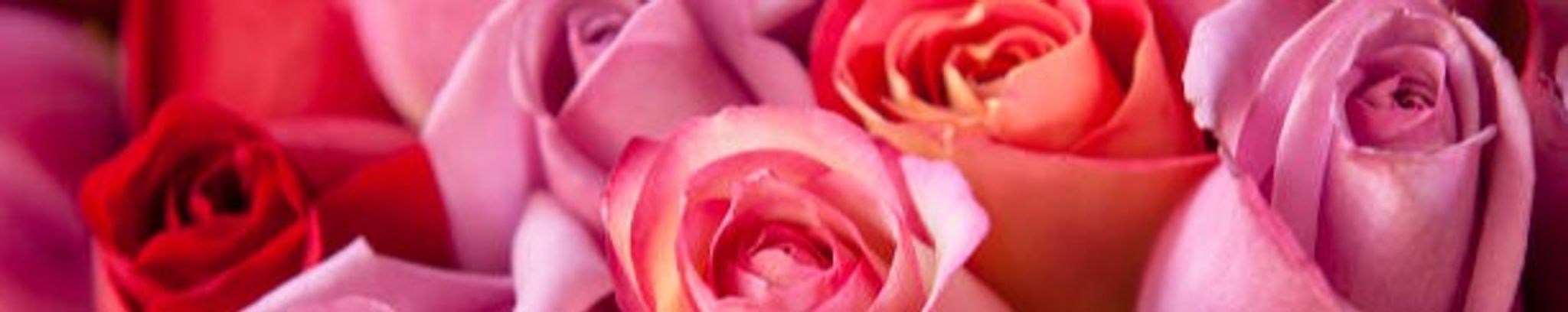 Cover photo for Frizella Carolyn Whitiker's Obituary