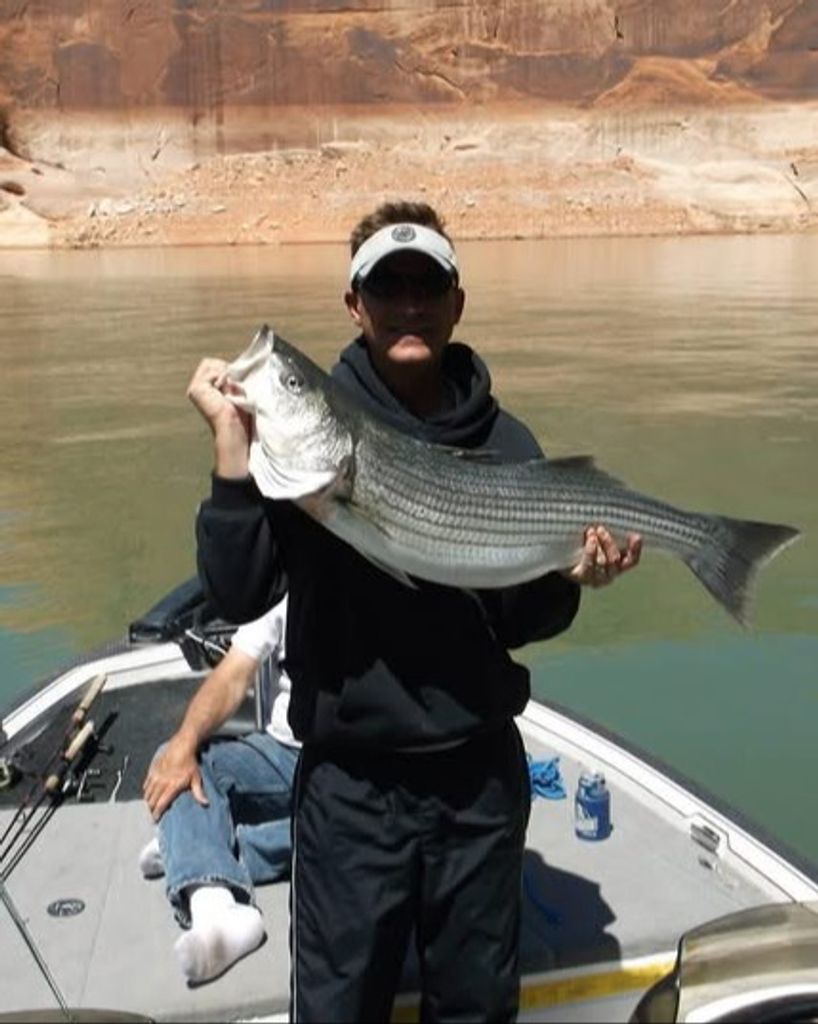 Stephen Patrick Maurer