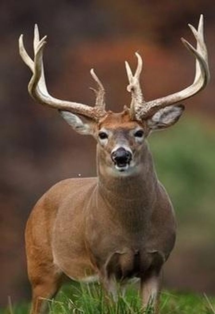 Donald Smith Profile Photo