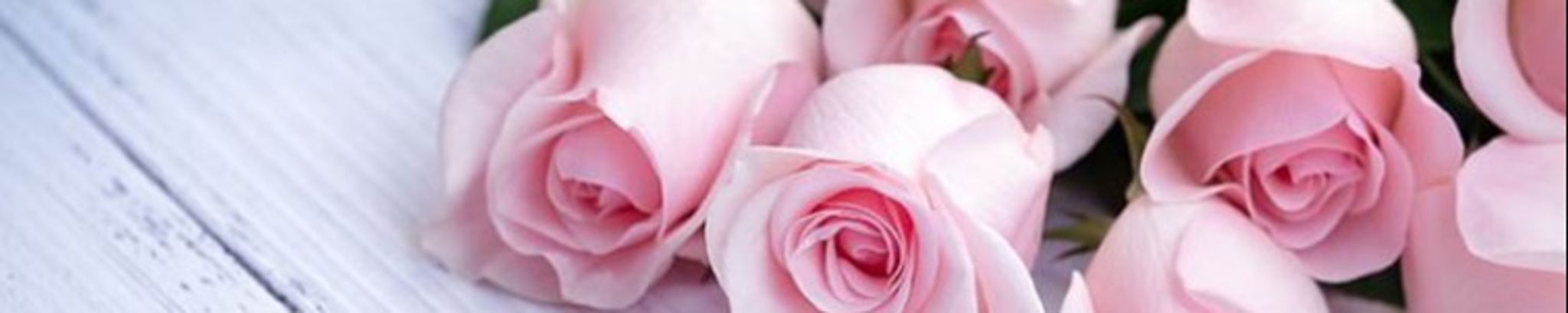Cover photo for Mary Anne Shelton's Obituary